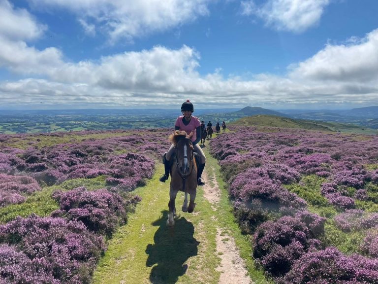 Saddle Up for Adventure – TransWales Trails Announces 2026 Riding Holidays