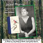     Jackie Morris speaking at Reading the Wild Festival in Llandovery