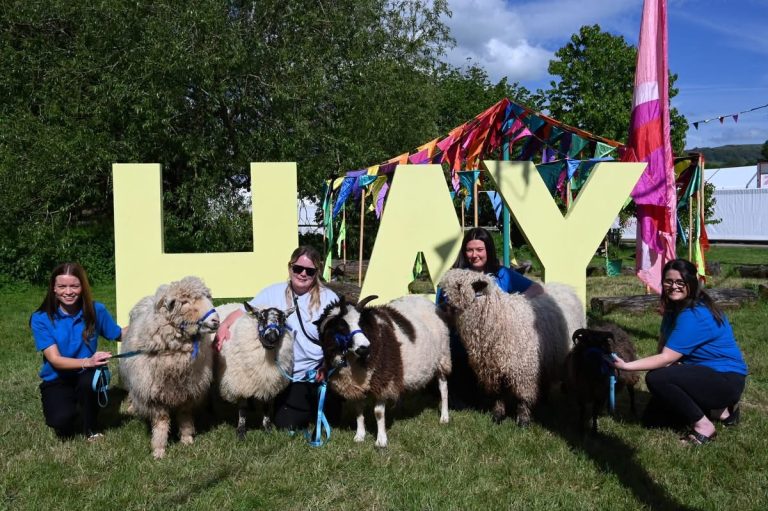 Drovers return to Hay on Wye