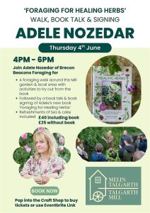 Adele Nozedar leading a foraging walk at Talgarth Mill Foraging for healing herbs event in Bannau Brycheiniog