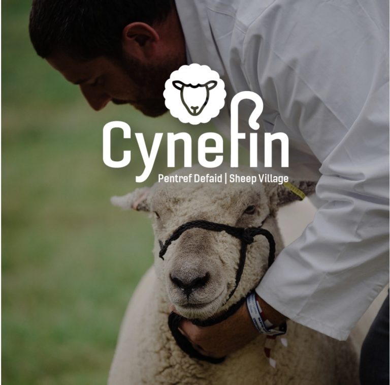 Cynefin Sheep Village Makes Its Royal Welsh Show Debut