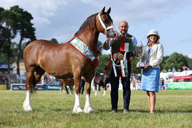 Glyncoch Capoeira, the Royal Welsh Show 2026 Supreme Horse Champion, pictured with the winning team and championship trophy.