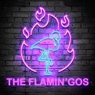 The Flamin&rsquo;Gos emo and pop-punk night poster for The Foundry in Brecon