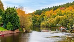 Autumn woodland colours on the Symonds Yat and Wye Gorge guided walk