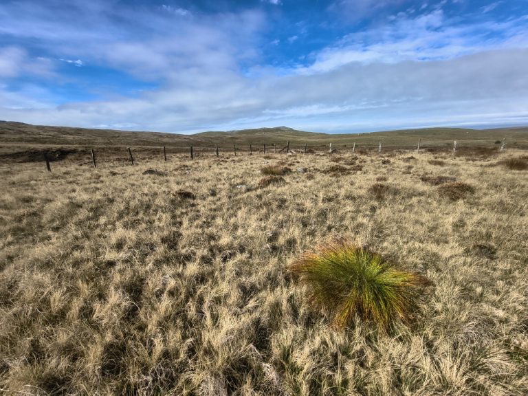 Fire and Flood: Guided Walk – Waun Fignen-felen