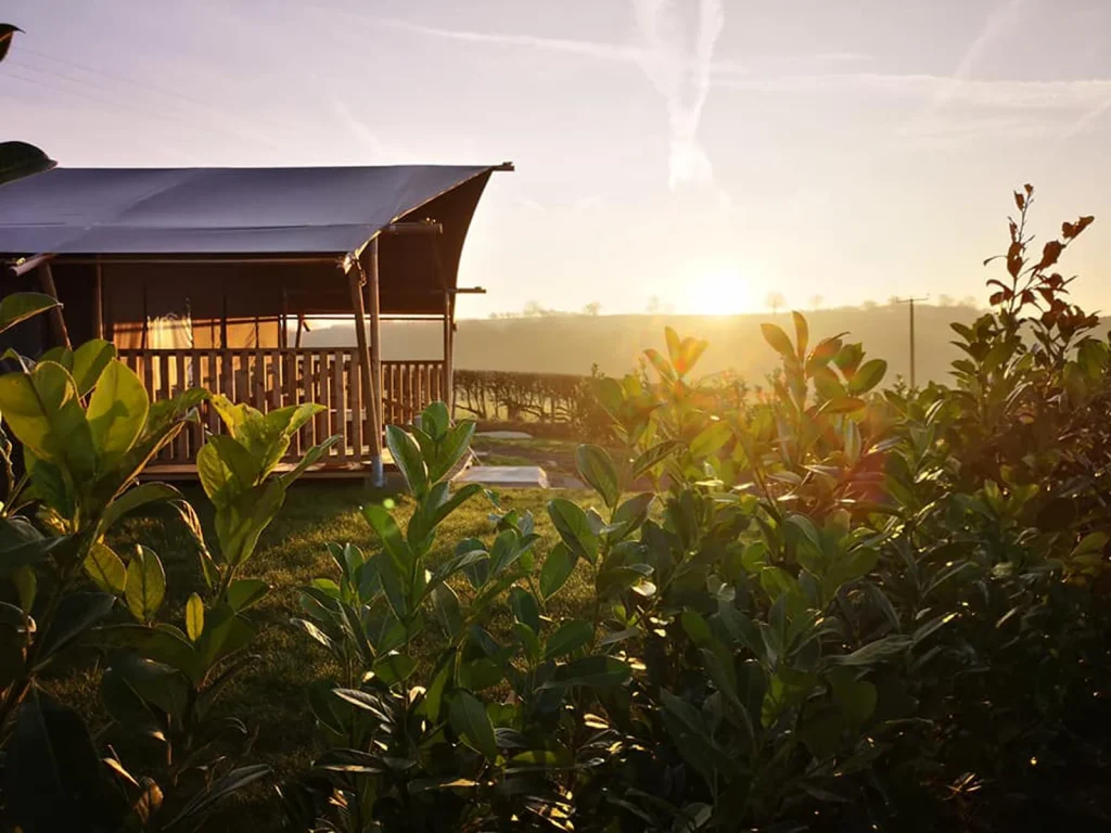 Bryndu's safari tent and veranda in warm evening light