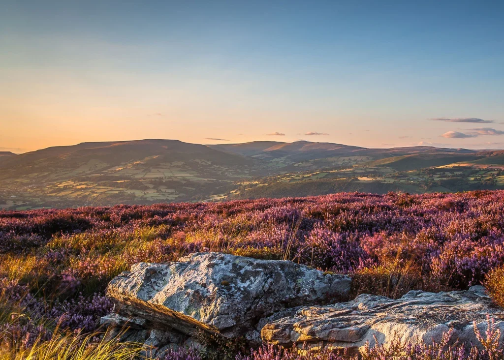 Heather-covered Black Mountains at sunset near Llangorse