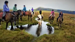 Group of riders crossing open moorland on an Ellesmere pony trek