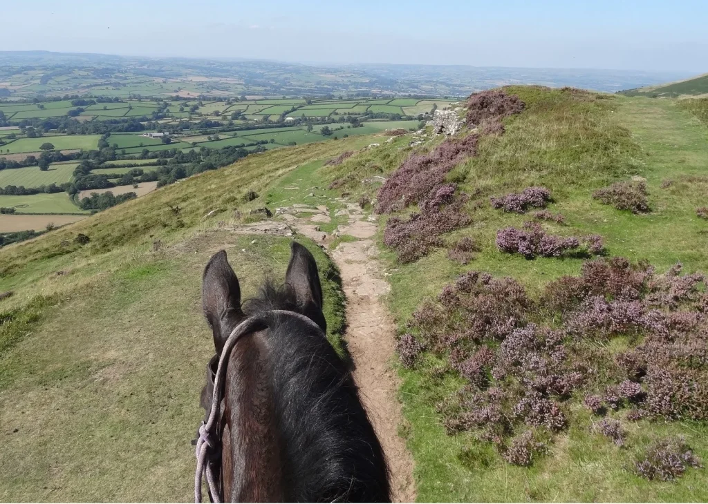 View between a horse's ears along a hill trail above the Usk Valley