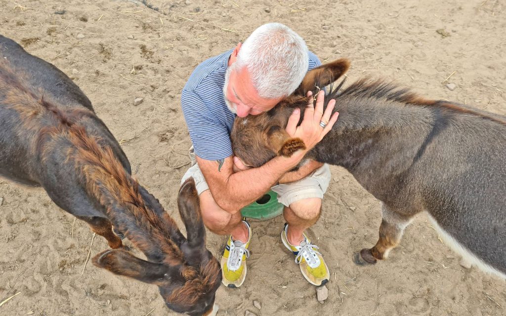 Visitor sharing a quiet moment with a miniature donkey during a Good Day Out experience