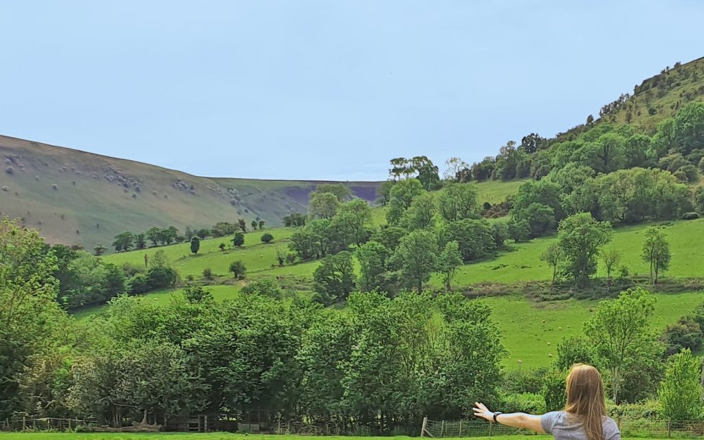Visitor guiding sheep with a working sheepdog during a Good Day Out experience