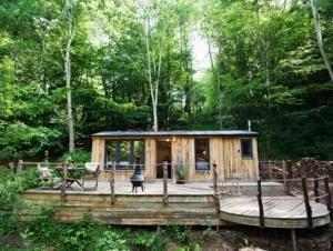 Timber cabin among trees in the Holidaycottages.co.uk collection