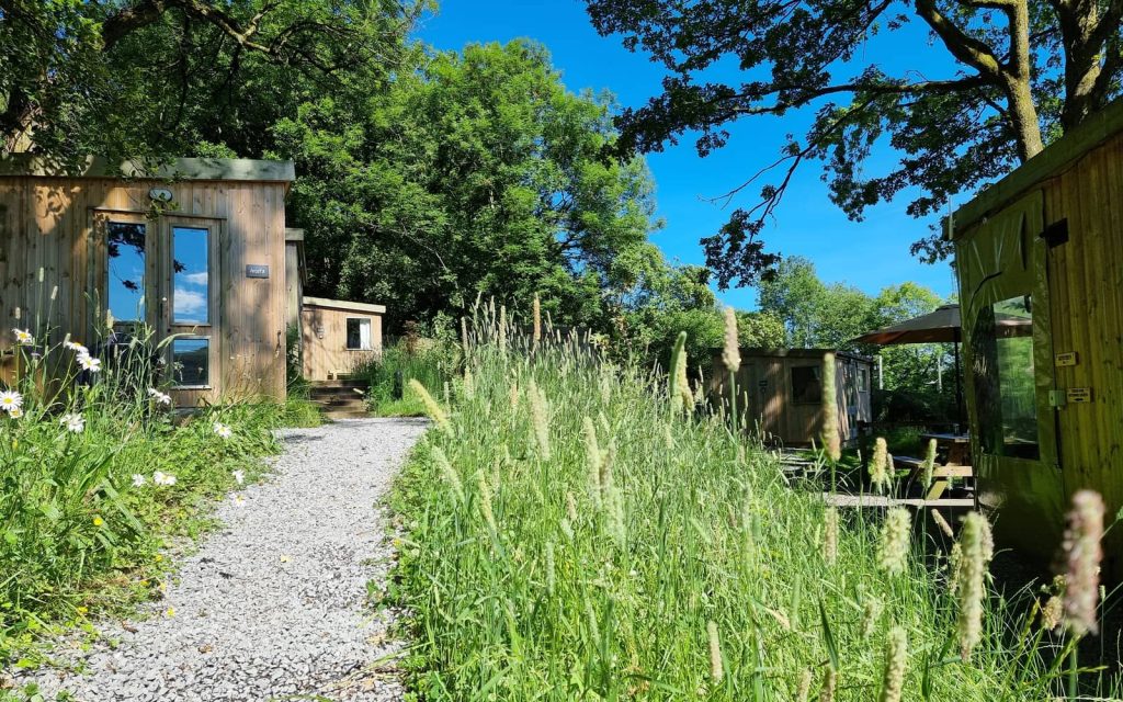 Wooded paths and cabins at The Roost Merthyr in summer