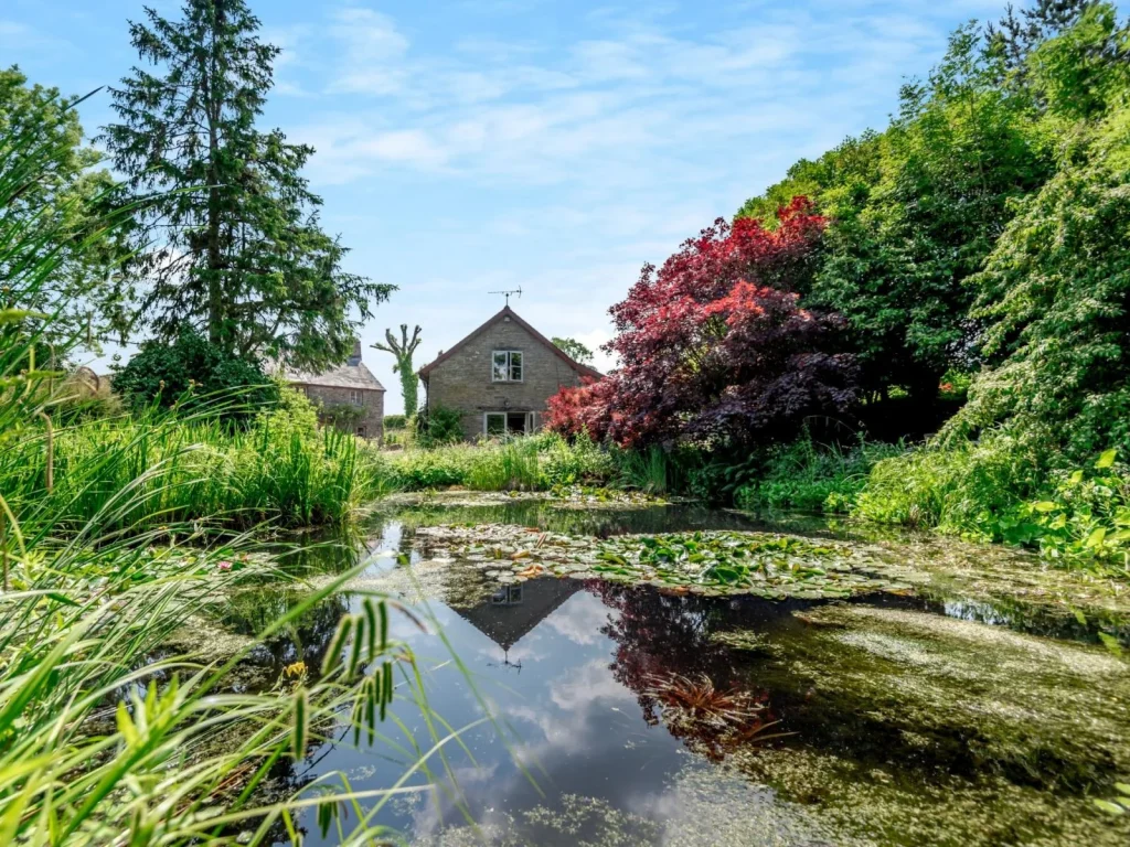 Colourful garden and pond at a Wales Cottage Holidays property