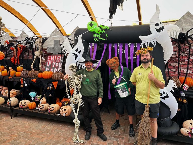 Old Railway Line Garden Centre’s Spooky Halloween Walk Returns to Raise Funds for The Bracken Trust