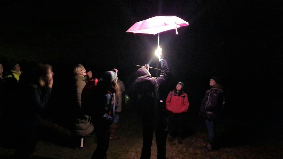 Visitors exploring Craig-y-nos Country Park after dark on a guided wildlife walk